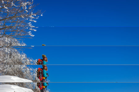 Snow hiker in the mountains, with snowshoes and ski poles, backpack and hat. Middle aged woman, full length.の写真素材