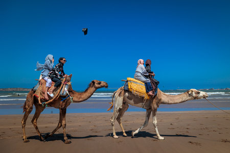 Essaouira, Morocco - August 3, 2023: Tourists accompanied by a guide in the classical camel ride at...