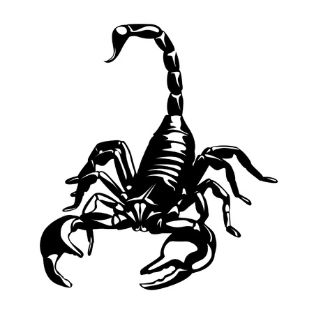 The vector illustration of realistic scorpion made in one color のイラスト素材