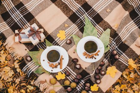 Picnic with two cups with fresh black coffee with cinnamon sticks and homemade chocolate cookies. Autumn moodの写真素材