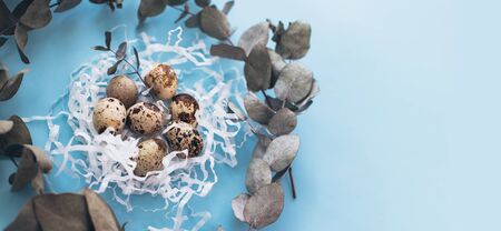 Quail eggs on blue background. Easter backdrop. Place for text.