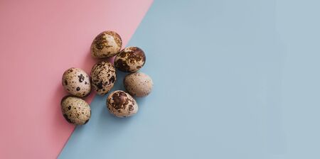 Easter quail eggs on pink and blue background. Flat lay style. Place for text.