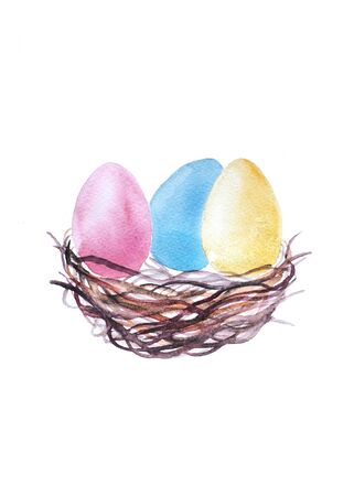 Colorful painted eggs in wooden nest on white isolated background.の写真素材