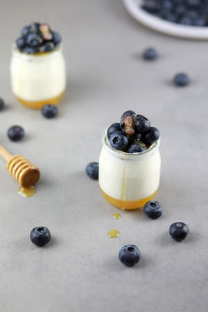 Homemade Italian dessert panna cotta with fruits jelly, fresh blue berries and honey on gray background.の写真素材