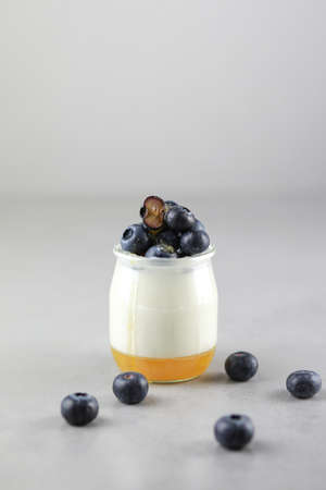 Homemade Italian dessert panna cotta with fruits jelly, fresh blue berries and honey on gray background. Copy spaceの写真素材