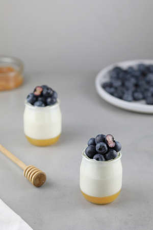 Homemade Italian dessert panna cotta with fruits jelly, fresh blue berries and honey on gray background.の写真素材