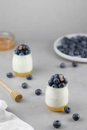 Homemade Italian dessert panna cotta with fruits jelly, fresh blue berries and honey on gray background.の写真素材