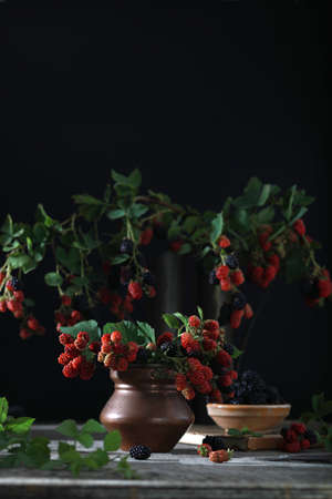Mulberry berries on the branches. Fresh mulberries in a vase, plate on dark background. Dark mood photo. Copy spaceの写真素材