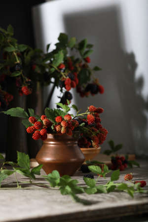 Mulberry berries on the branches. Fresh mulberries in a vase, plate on wooden background.の写真素材