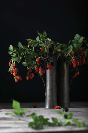 Mulberry berries on the branches. Fresh mulberries in a vase on dark background. Dark mood photo. Copy spaceの写真素材
