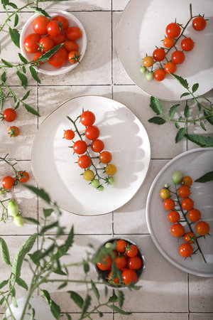 Fresh red cherry tomatoes on branch on white plates. Top viewの写真素材