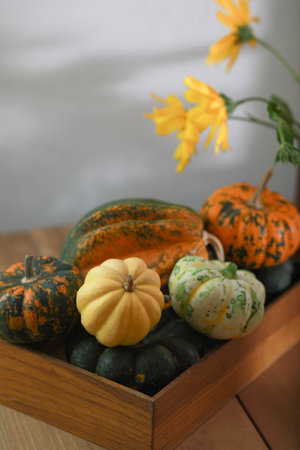 Autumn composition of little pumpkins on wooden background.の写真素材