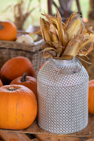 Orange pumpkins and dried leaves on vase on table. Holiday autumn decoration. Halloween decorの写真素材