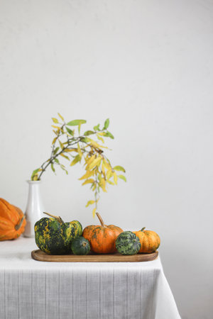 Variety of decorative pumpkins. Autumn composition of different squash types on table. Copy spaceの写真素材