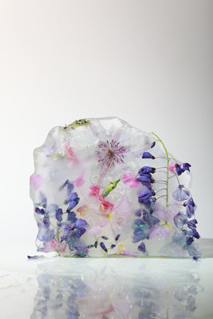Garden flowers frozen in ice. Ice stone with frozen flowers. Abstract flowers backgroundの写真素材