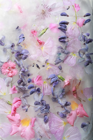 Garden flowers frozen in ice, garden flower, flowers in ice. Abstract flowers backgroundの写真素材