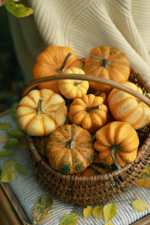 Wooden basket with decorative pumpkins on old chair in the autumn gardenの写真素材