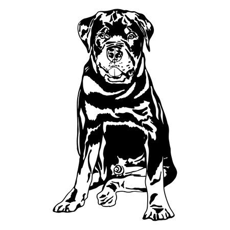Rottweiler puppy dogのイラスト素材