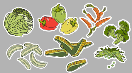 vegetable stickersのイラスト素材