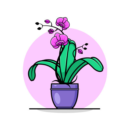 Orchid flower in pot. Exotic floral flat design.のイラスト素材