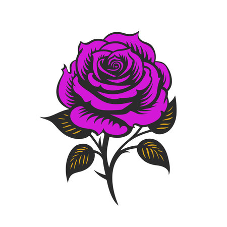 Rose old-fashioned tattoo style illustration.のイラスト素材