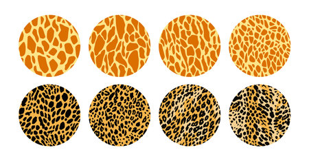 Collection of animal fur pattern circular illustration.のイラスト素材