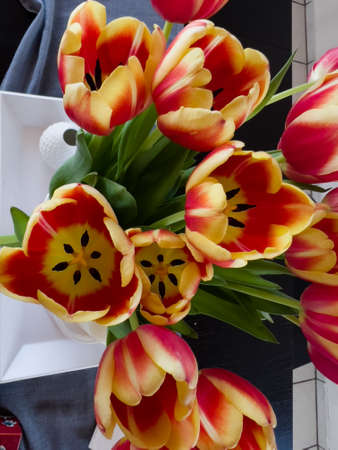 Tulip flowers shot from top with a table on the backgroundの写真素材