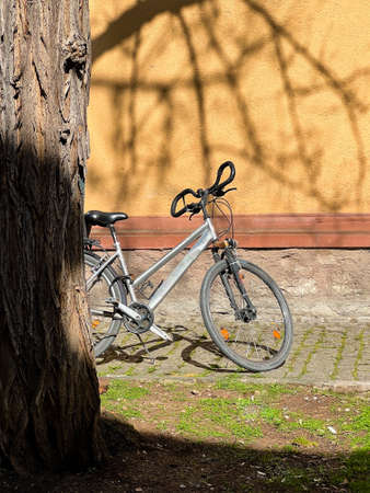 The bike stands against the wall with shadows from the branches of the treeの写真素材