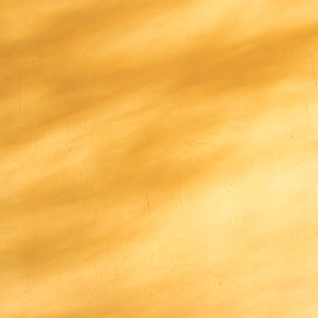 Yellow Leaves Shadow Overlay On Wall Texture Background. Abstract Natural Sun Light Foliage Backdrop. Nature Branch Shadow Reflection On Plaster Stucco Wall.の写真素材