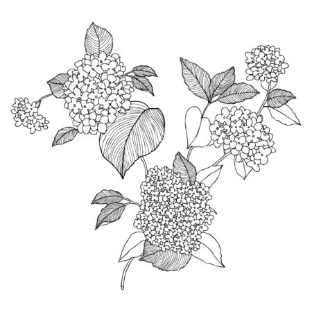 Elegance Seamless pattern with flowers of lilac, vector floral illustration in vintage styleのイラスト素材