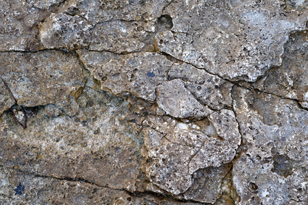 Surface of sea stone, structure, texture. Backgroundの写真素材