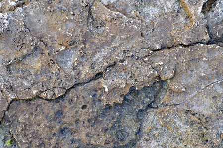 Surface of sea stone, structure, texture. Backgroundの写真素材