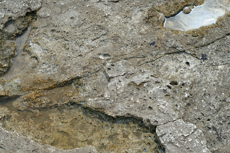 Surface of sea stone, structure, texture. Backgroundの写真素材