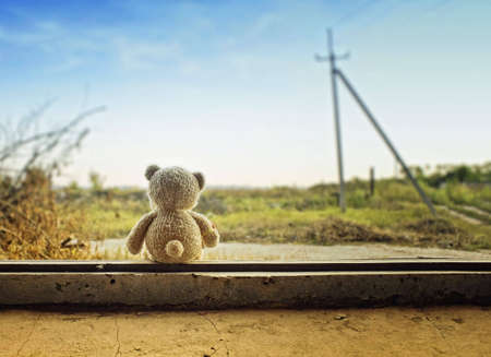 little bear on a windowの写真素材