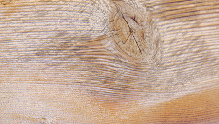 the image light brown woodの写真素材