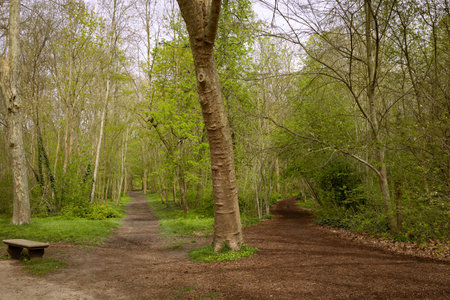 Crossroads, two different directions, concept of choose the correct way.の写真素材