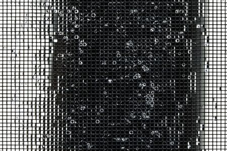 a simple  black and white background taken with macro lensの写真素材