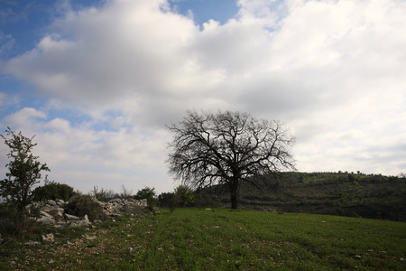 The agricultural and rural areas that make up the unique character of the Cypriot countryside.の写真素材