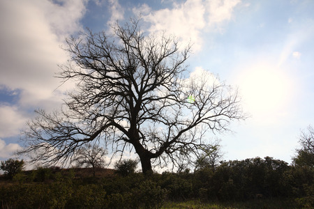 The agricultural and rural areas that make up the unique character of the Cypriot countryside.の写真素材