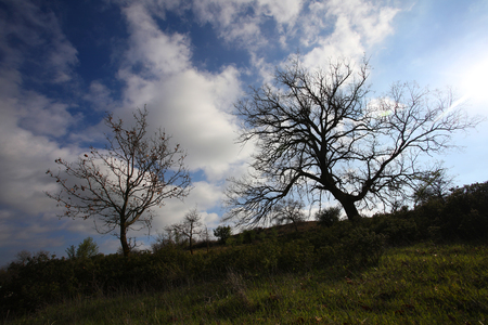 The agricultural and rural areas that make up the unique character of the Cypriot countryside.の写真素材