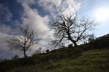 The agricultural and rural areas that make up the unique character of the Cypriot countryside.の写真素材
