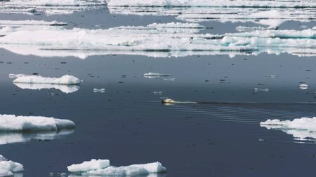 icebergs in icelandの写真素材