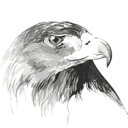 Eagleのイラスト素材
