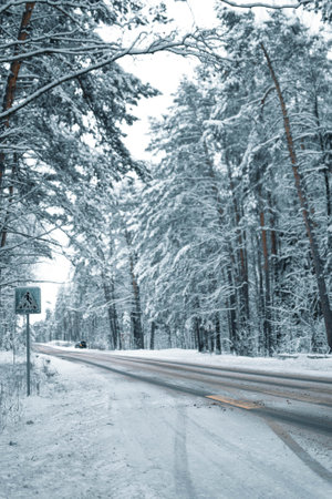 Winter landscape Forest in the snow. Pastel shades. Road in a snowy forest.
