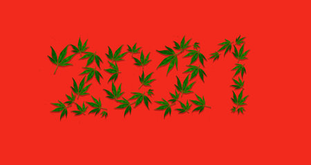 CBD Banner with color of the year 2021