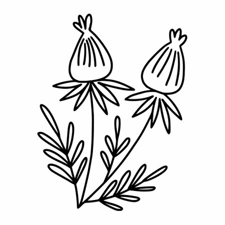flower. Black and white twig. Plants and herbs. Vector doodle illustration. Postcard decor element. single object.のイラスト素材
