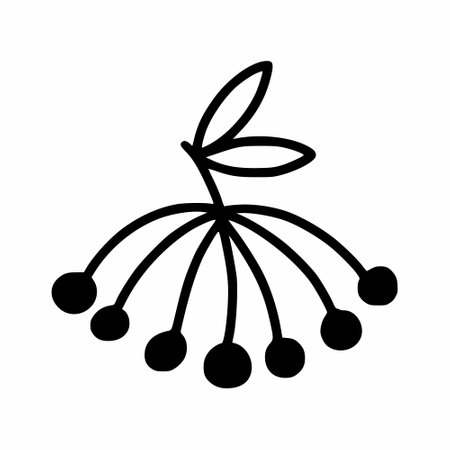 branch of viburnum. Rowanberry. autumn harvest. Doodle illustration. hand drawn sketch.のイラスト素材