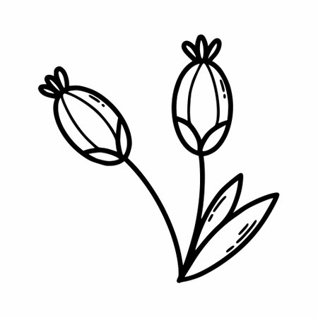 autumn flower. Vector doodle illustration. Postcard decor element. sketch.のイラスト素材