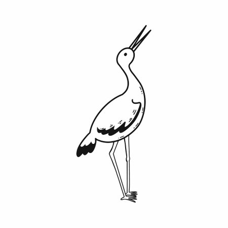 Stork. Vector doodle illustration. beautiful bird. hand drawn sketch.のイラスト素材