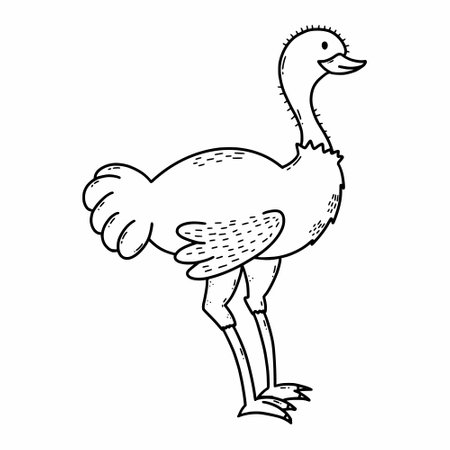 Emu ostrich. Animals Australia. Vector illustration of doodles. Sketch.のイラスト素材